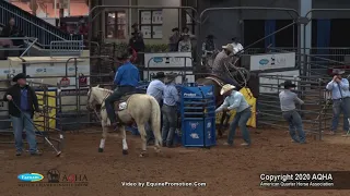 2020 AQHA Senior Heeling