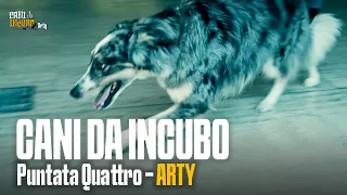 CANI DA INCUBO - Stagione 1 - Puntata 4 ARTY