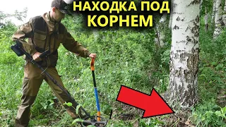 Корни дерева скрывали находку 200 лет. Коп на краю леса