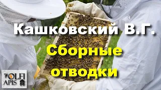 #Кашковский В.Г. Сборные отводки