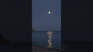 MOONLIGHT RELAXATION