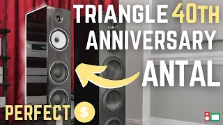 You CAN'T BEAT the VALUE of the Triangle 40TH ANNIVERSARY Antal Speaker | Big Kids Toys AV