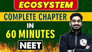 ECOSYSTEM in 60 minutes || Complete Chapter for NEET