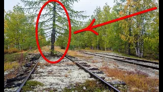 There will never be a train on this railway again! An abandoned railroad!