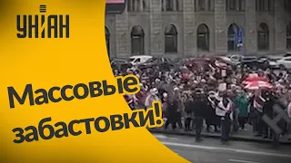 На акции протестов и забастовки в Беларуси вышли все: и школьники, и студенты, и пенсионеры!