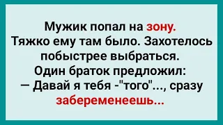 Мужик на Зоне Хочет Забеременеть! Анекдот Дня! Юмор! Смех! Позитив!