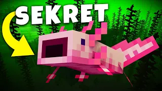 20 SERKRETÓW o AKSOLOTLACH w MINECRAFT