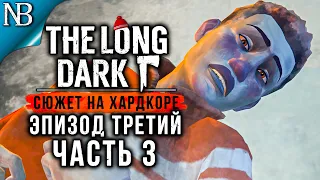 THE LONG DARK Прохождение (Хардкор) ➤ ЭПИЗОД ТРЕТИЙ #3 ➤ МЕСТО КРУШЕНИЯ И БУНКЕР [2K 60ᶠᵖˢ]