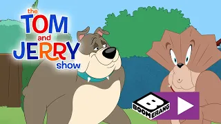 Tom & Jerry | Översittare | Boomerang Sverige