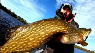 Monster Pike fishing in Ireland