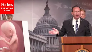 'This Is A Baby, This Is A Human': Mike Lee Decries Roe V. Wade Prior To Supreme Court Hearing