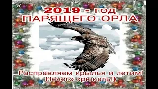 С Новым 2019 годом, годом парящего Орла