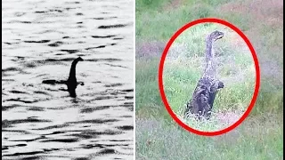 Loch Ness Monster Caught On Tape On Land?