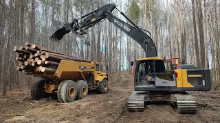 Clearing The Trails Deeper Into The Woods