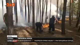 Пожар в Луганской области: пятеро погибших и более ста згоревших домов