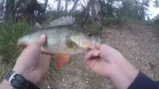 First ever Redfin