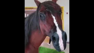 Animated realistic horse design