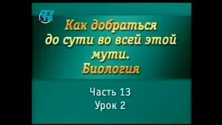 Биология для чайников. Урок 12. Органы чувств: осязание, обоняние, вкус, зрение, слух