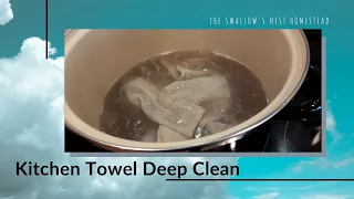 Deep Clean Your Kitchen Towels:  It is ASTOUNDING how dirty they are!