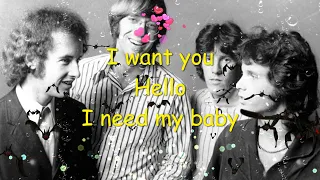 The Doors - Hello, I Love You - Lyrics (45 RPM)