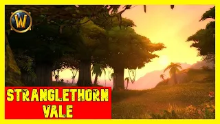 Stranglethorn Vale Music - WoW Classic