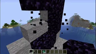 What if you throw an ender pearl into nether portal