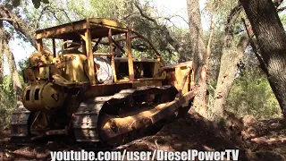 CAT D7 START & PUSHING DOWN TREES!!! PART 1