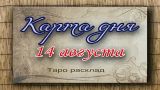 Карта дня 14 августа. Таро прогноз. Гадание таро