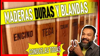 Tipos de MADERA duras y blandas 🌲 Como elegir MADERAS FINAS y sus costos