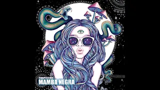 chapeleiro - mamba negra