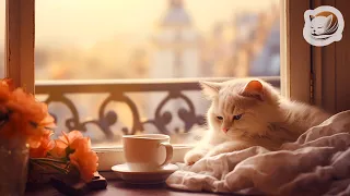 Cat Purring and Birds Singing - Fall Asleep in Under 5 MINUTES 🕊️ Beautiful Ambience