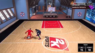 5 rare 2k ankle breakers| 2k22