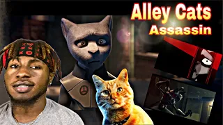 Animated Short Film: "Alleycats" Assassin | REACTION VIDEO