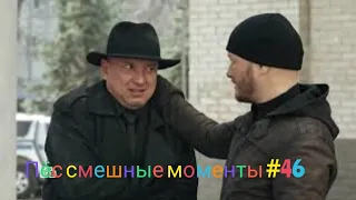 Пёс смешные моменты #46. 🤣🤣