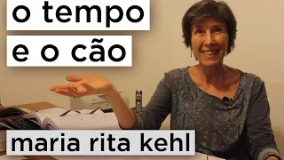 O tempo e o cão: a depressão como sintoma social | Maria Rita Kehl