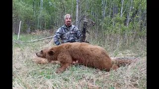 Saskatchewan Black Bear Hunting