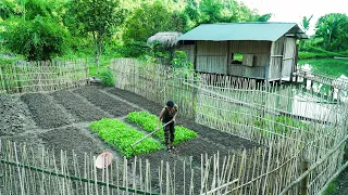 Renovate the garden and become a farmer/ Off-Grid Living Part 3