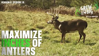 Maximize the Antler Size of Whitetails on Your Land | Part 1