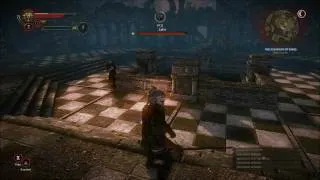 The Witcher 2 - How to kill Letho Final Boss (HARD)
