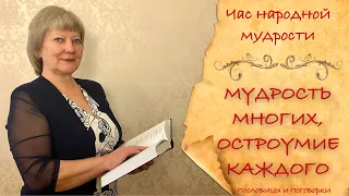 Пословицы и поговорки: История, значение. Чем отличаются пословицы и поговорки Мудрость предков