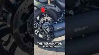 The Terminator in Florida #florida #terminator