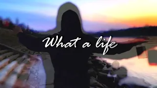 Scarlet Pleasure - What A Life ( slowed / reverb ) + lyrics