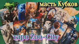 Чувственная масть кубков из таро Zoo-City #tarotcards  #авторское