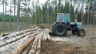 Заготовка дров трактором МТЗ - 80.