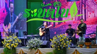 วง ระบัดใบ บันทึกการแสดงสด แนวเพลงเพื่อชีวิต ฟังสบายๆ ยาวๆ🌿☘️🍃