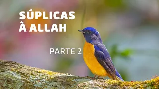 🙌Súplicas à Allah - Parte 2 #suplicas