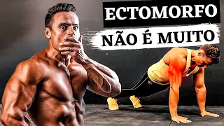 Quantas Flexões Ectomorfo Deve Fazer Em Um Dia para Ganhar Massa Muscular