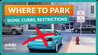 Where is Parking Allowed? Curbs, Markings & Signs Explained