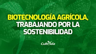 BIOTECNOLOGÍA AGRÍCOLA: 25 AÑOS DE CIENCIA DE CULTIVOS TRABAJANDO POR LA SOSTENIBILIDAD