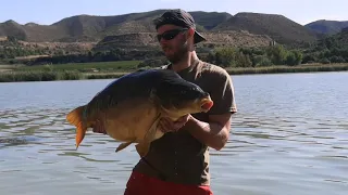 catfishing & carp river ebro/segra spain